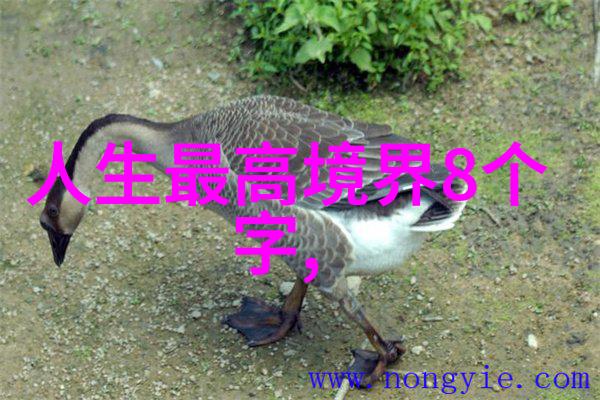 深山寻访道教文化遗存